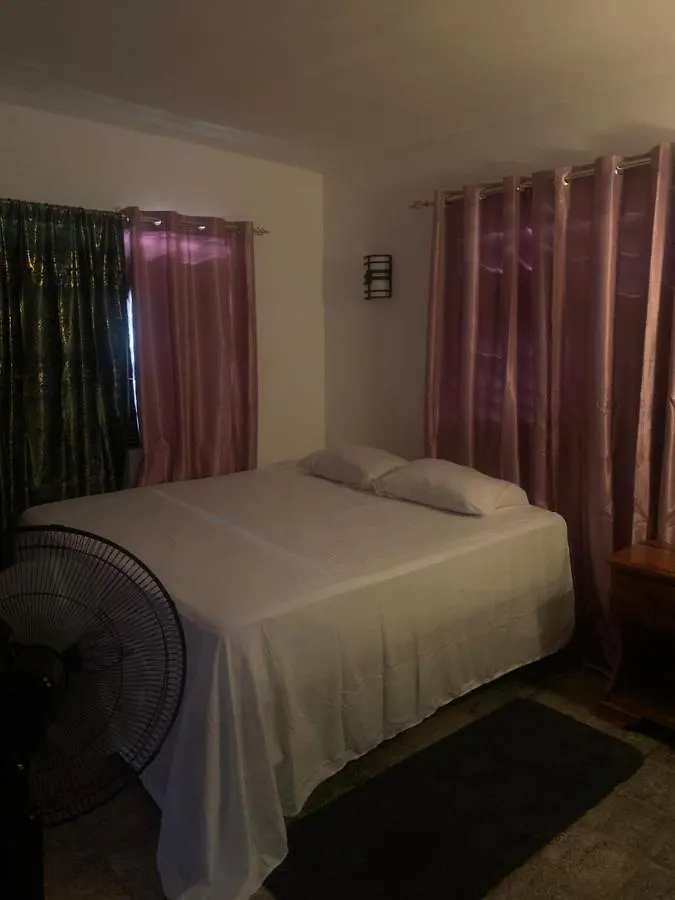 Skipper'S Beach Villa Negril